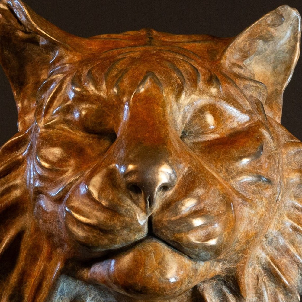 Melindungi Puna Sumatran Tiger bronze sculpture by Min Reid, serene tiger head portrait with closed eyes and flowing fur detail in warm golden bronze tones mounted on a black plinth against a dark background