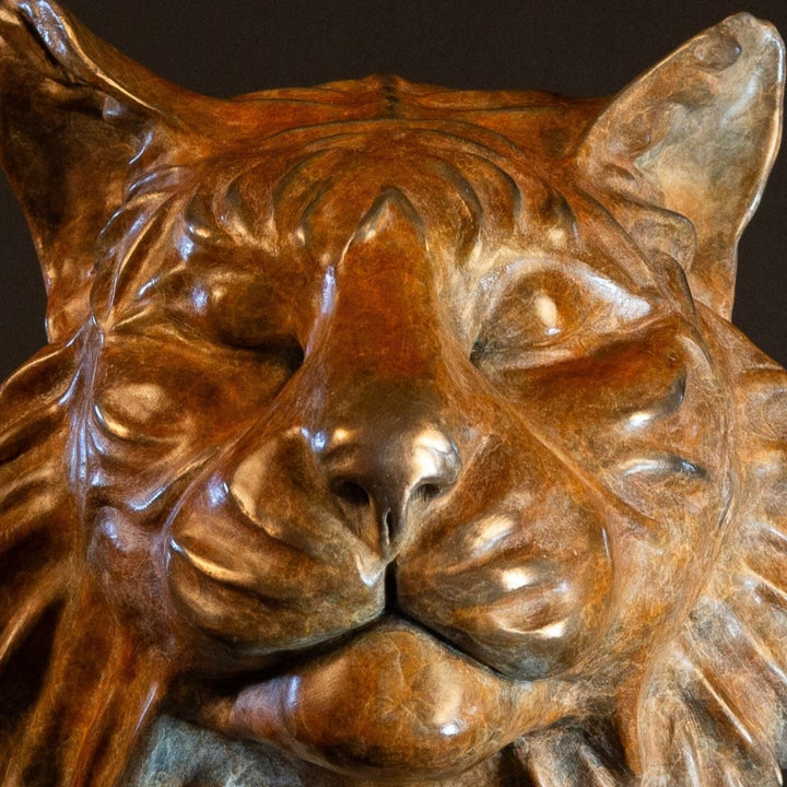 Melindungi Puna Sumatran Tiger bronze sculpture by Min Reid, serene tiger head portrait with closed eyes and flowing fur detail in warm golden bronze tones mounted on a black plinth against a dark background