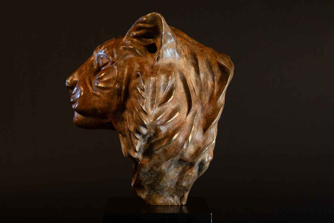 Melindungi Puna Sumatran Tiger bronze sculpture by Min Reid, serene tiger head portrait with closed eyes and flowing fur detail in warm golden bronze tones mounted on a black plinth against a dark background