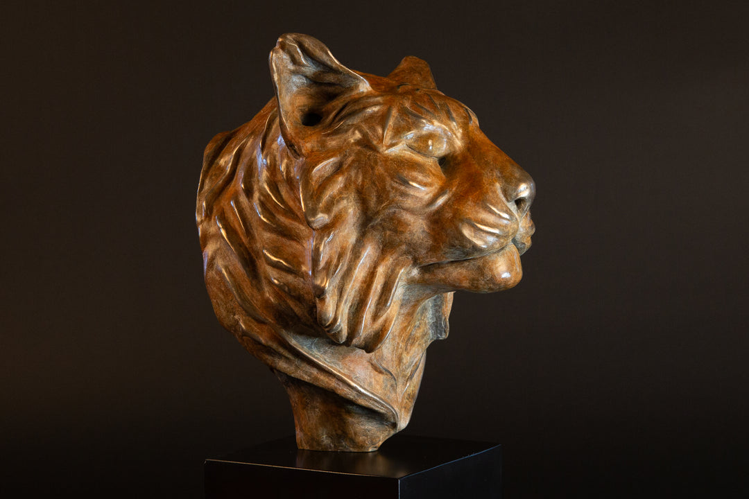 Melindungi Puna Sumatran Tiger bronze sculpture by Min Reid, serene tiger head portrait with closed eyes and flowing fur detail in warm golden bronze tones mounted on a black plinth against a dark background