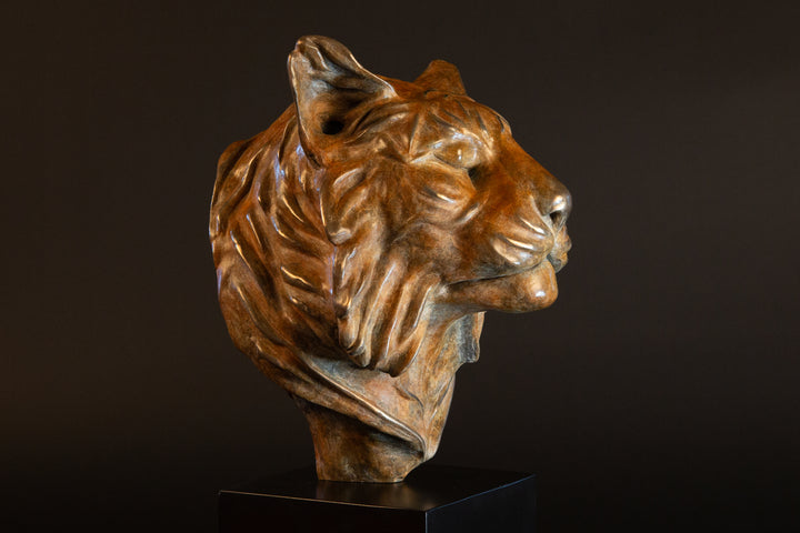 Melindungi Puna Sumatran Tiger bronze sculpture by Min Reid, serene tiger head portrait with closed eyes and flowing fur detail in warm golden bronze tones mounted on a black plinth against a dark background