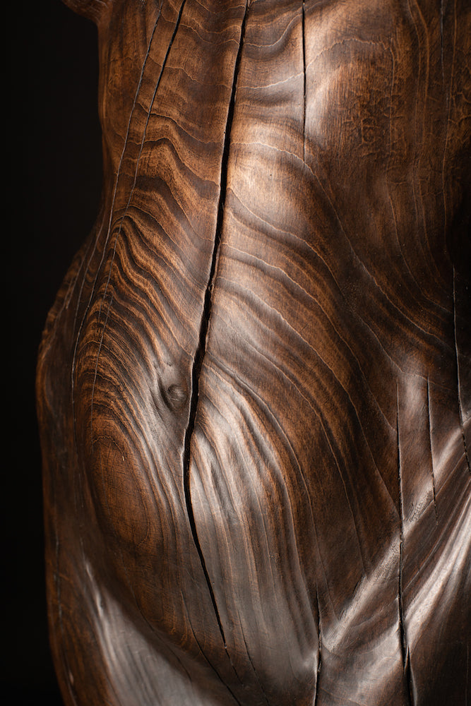 Tall figurative sculpture of a woman carved from richly grained wood, standing with her head lifted toward the sky. Her form emerges organically from the trunk, evoking growth and connection to the earth. The flowing grain patterns enhance her posture, while a small child figure is carved into the back of the sculpture, reaching upward and held by the woman's hand. A deeply symbolic piece that blends maternal strength, natural cycles, and generational continuity. The bronze preserves the texture of wood.