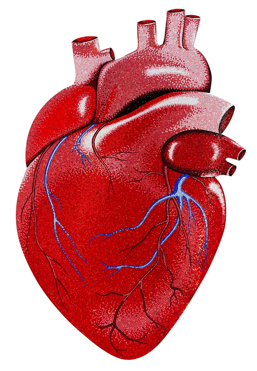 Anatomical red heart artwork with detailed veins and arteries in blue and black on a white background.
