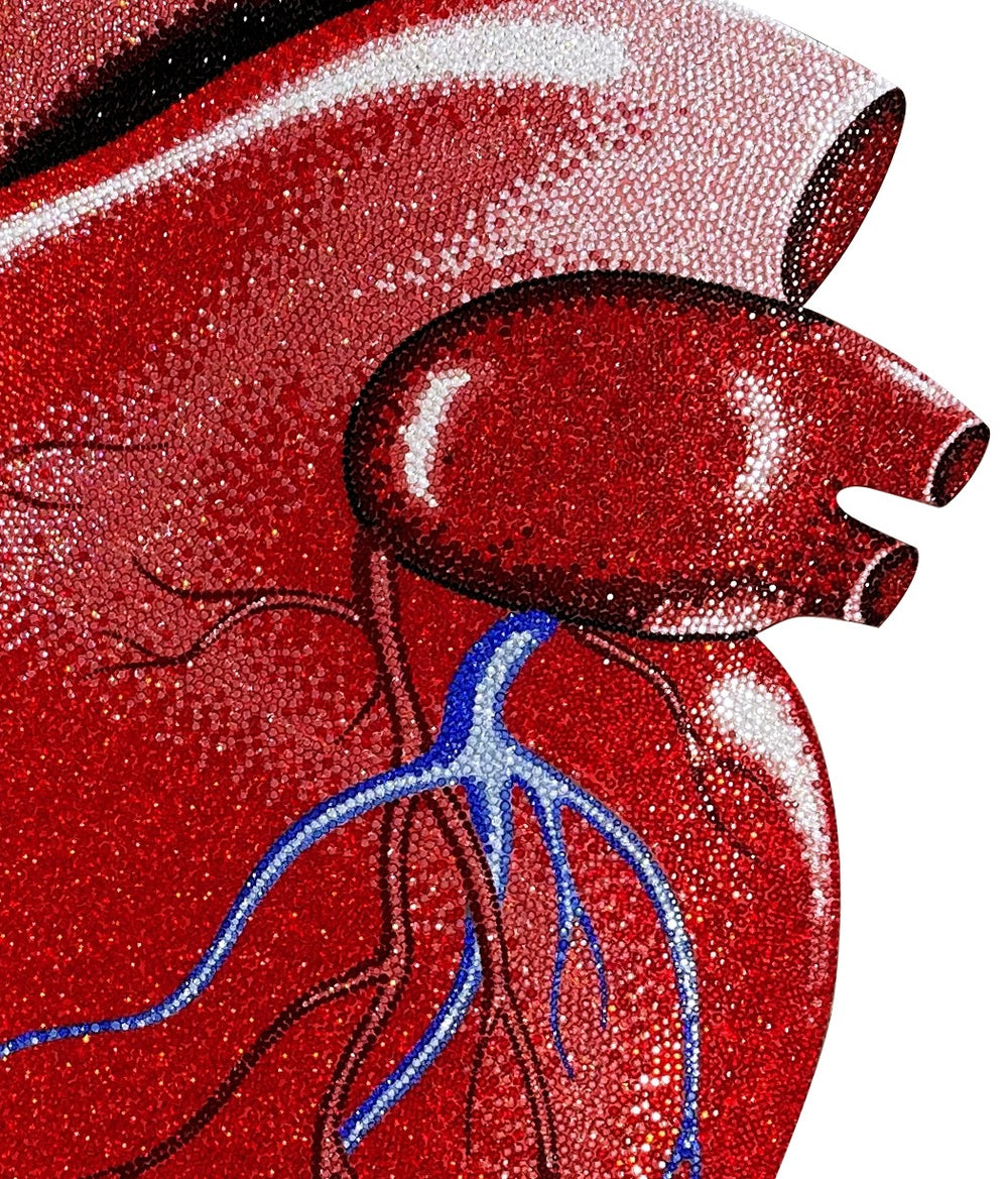 Anatomical red heart artwork with detailed veins and arteries in blue and black on a white background.
