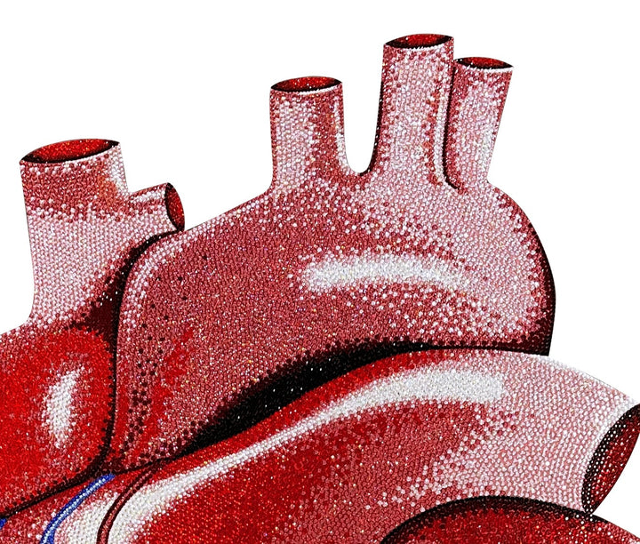 Anatomical red heart artwork with detailed veins and arteries in blue and black on a white background.