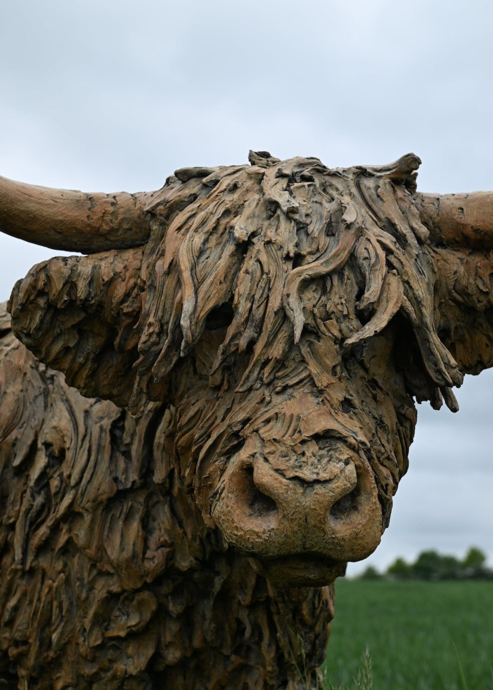 ‘Highland Cow: Life Size’ by Hamish Mackie, a life-size limited-edition bronze sculpture depicting a Scottish Highland cow standing in a grassy field. The sculpture features long, sweeping horns, a broad muzzle and a heavily textured, shaggy coat falling over the animal’s eyes. Finished in warm earthy brown bronze, the realistic wildlife sculpture captures the distinctive character and rugged appearance of the Highland breed.