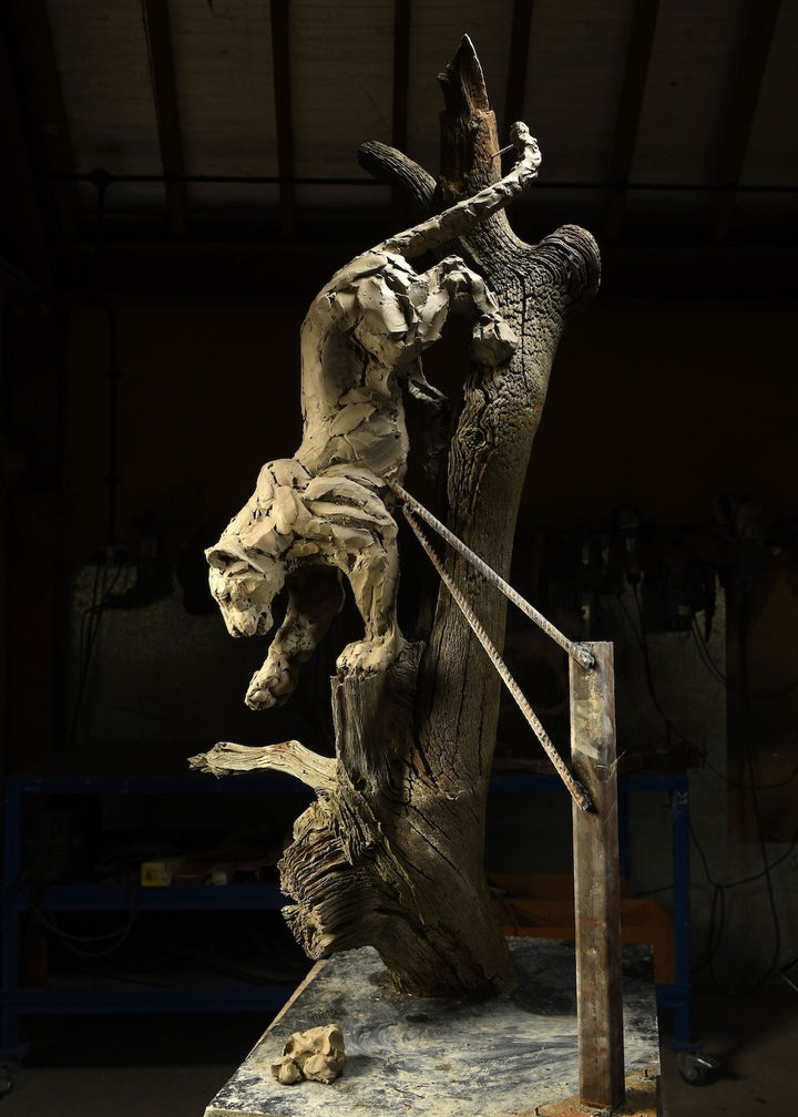 ‘Leopard Climbing Down a Tree’ by Hamish Mackie, a limited-edition bronze wildlife sculpture depicting an African leopard descending headfirst down a tall, weathered tree trunk. The leopard's muscular body, extended forelegs and curved tail capture the animal's extraordinary agility and balance. Finished in natural earthy bronze tones, the sculpture features a highly textured tree trunk mounted on a rectangular Purbeck limestone base, inspired by the artist's wildlife observations in the Serengeti.
