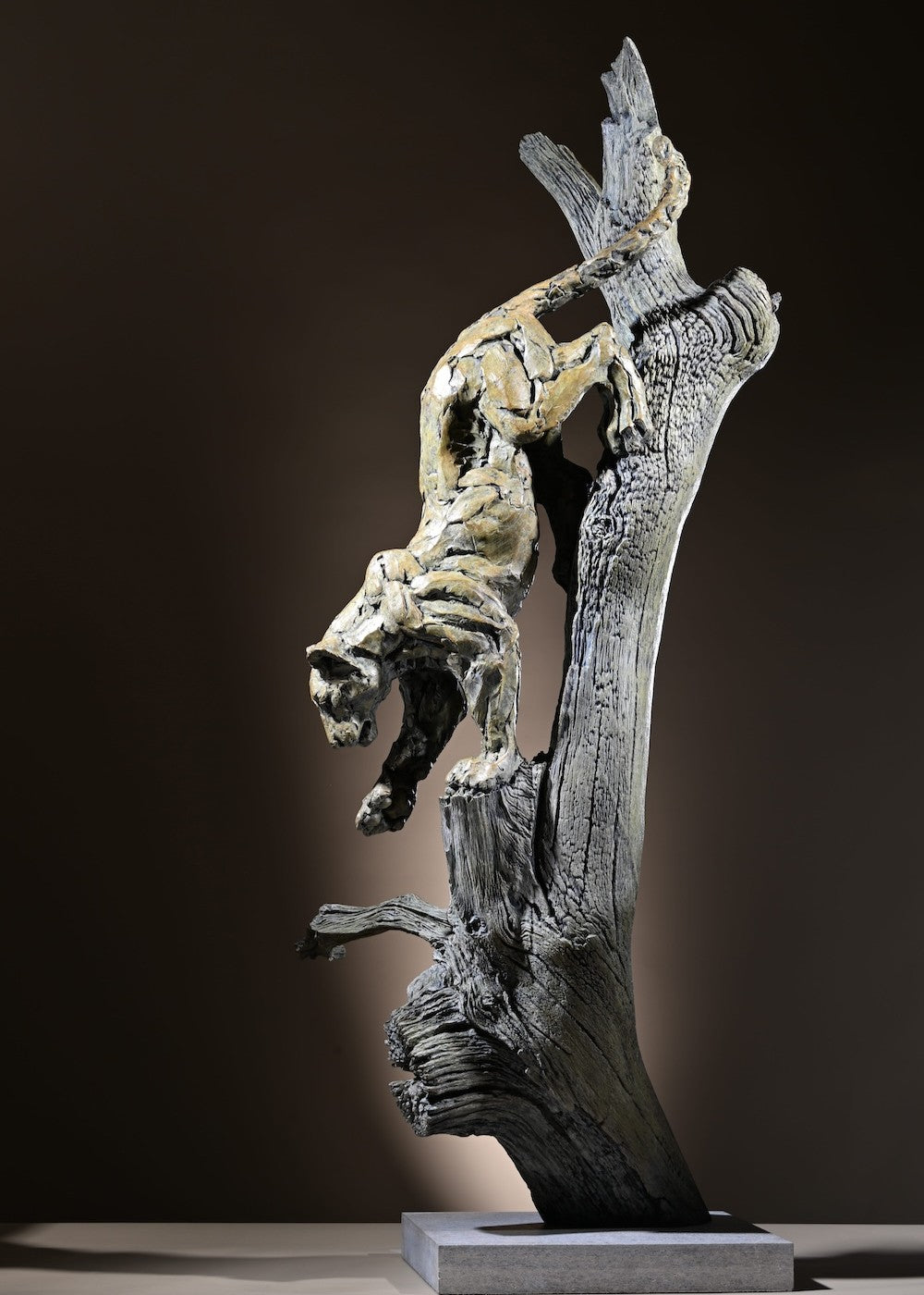 ‘Leopard Climbing Down a Tree’ by Hamish Mackie, a limited-edition bronze wildlife sculpture depicting an African leopard descending headfirst down a tall, weathered tree trunk. The leopard's muscular body, extended forelegs and curved tail capture the animal's extraordinary agility and balance. Finished in natural earthy bronze tones, the sculpture features a highly textured tree trunk mounted on a rectangular Purbeck limestone base, inspired by the artist's wildlife observations in the Serengeti.
