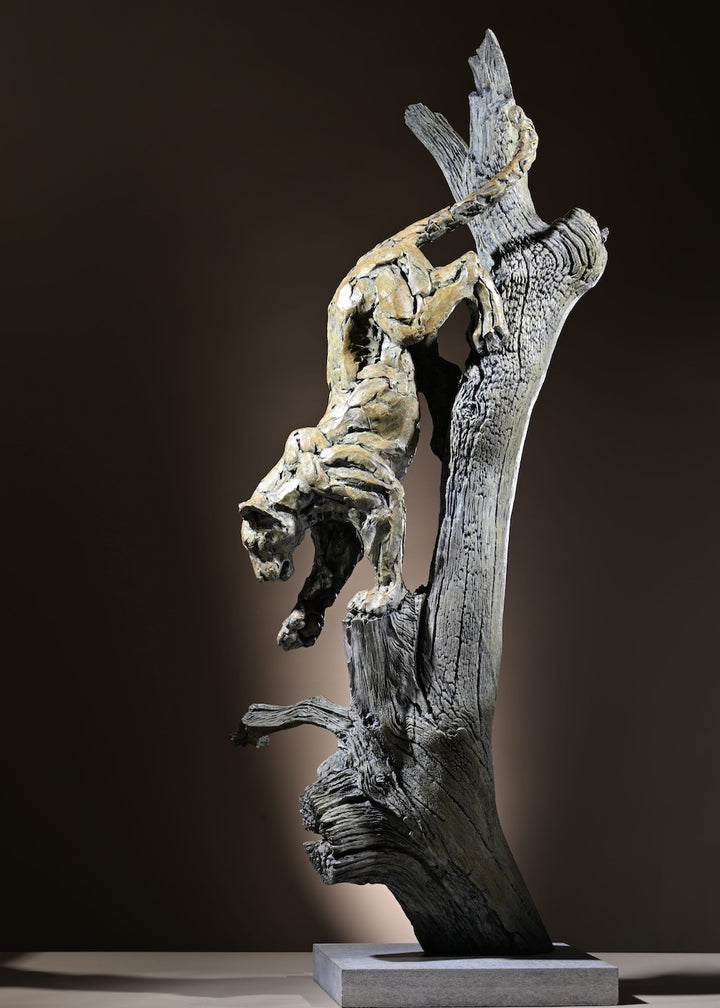 ‘Leopard Climbing Down a Tree’ by Hamish Mackie, a limited-edition bronze wildlife sculpture depicting an African leopard descending headfirst down a tall, weathered tree trunk. The leopard's muscular body, extended forelegs and curved tail capture the animal's extraordinary agility and balance. Finished in natural earthy bronze tones, the sculpture features a highly textured tree trunk mounted on a rectangular Purbeck limestone base, inspired by the artist's wildlife observations in the Serengeti.