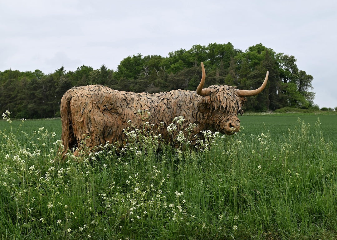 ‘Highland Cow: Life Size’ by Hamish Mackie, a life-size limited-edition bronze sculpture depicting a Scottish Highland cow standing in a grassy field. The sculpture features long, sweeping horns, a broad muzzle and a heavily textured, shaggy coat falling over the animal’s eyes. Finished in warm earthy brown bronze, the realistic wildlife sculpture captures the distinctive character and rugged appearance of the Highland breed.