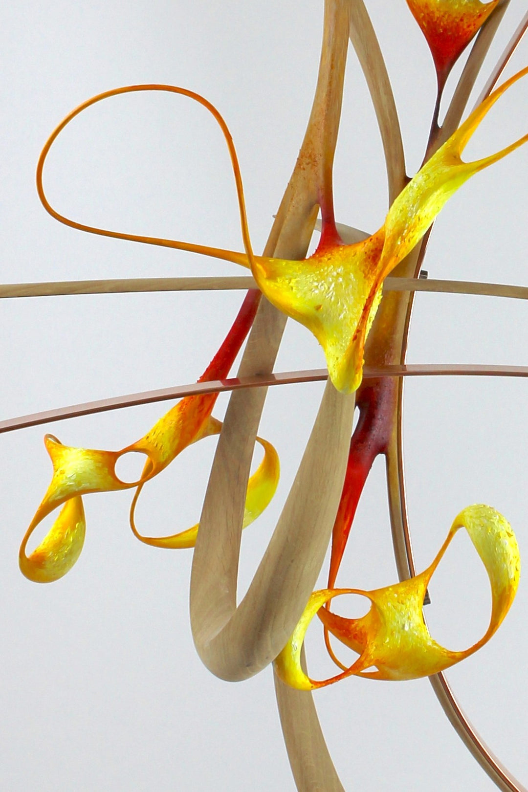 Sculptural artwork Bird of Paradise by Mark Purllant, a one-off mixed media piece combining carved and steam-bent English oak, polished copper, and painted sculptural forms in vivid red, yellow, and orange tones on a plaster base.