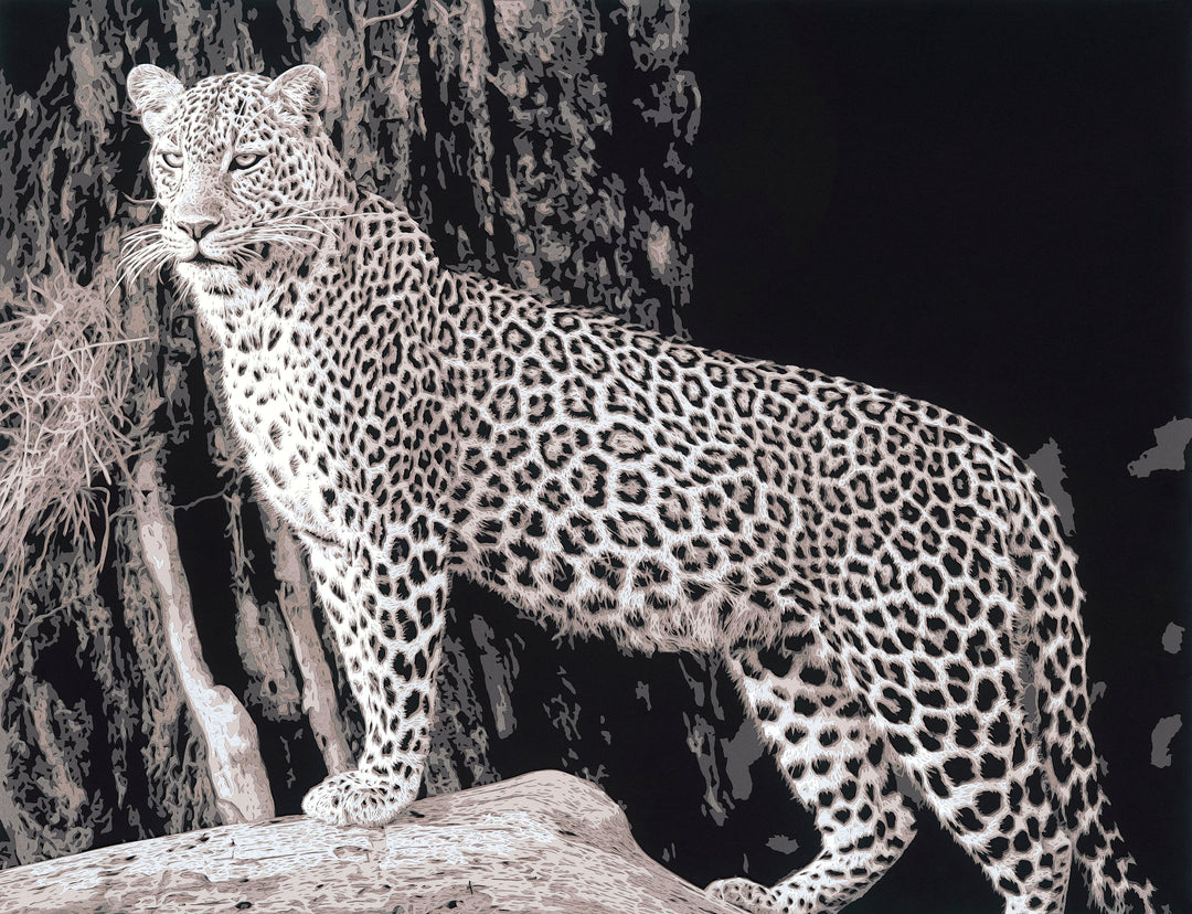 Hand-cut paper artwork of an African leopard poised on a tree branch, its dappled coat rendered in layered tones of ivory, taupe, and soft grey. Precision-cut detailing captures the feline’s quiet strength and poise, framed in black wood with UV-protective art glass.
