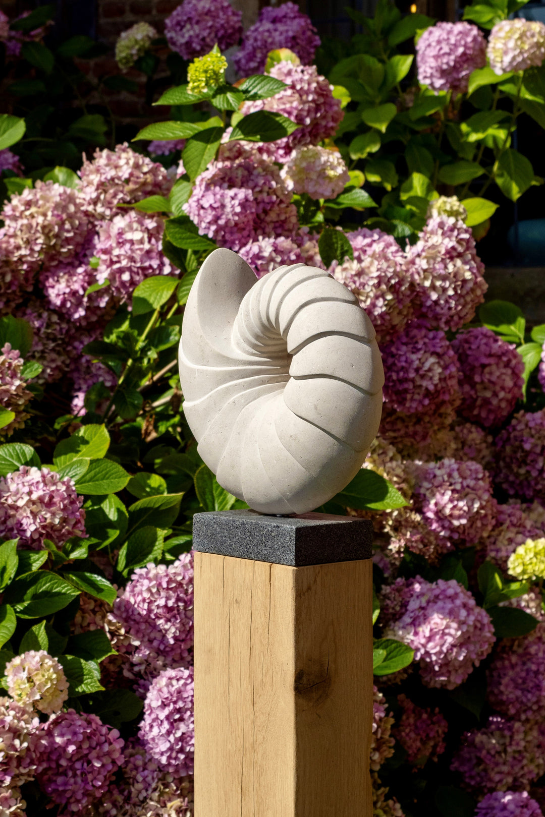 Nautilus by Nicola Axe — elegant spiral Portland stone sculpture echoing a seashell’s natural form, smooth pale surface with flowing ridges, mounted on a granite and oak plinth with a discreet metal plate.