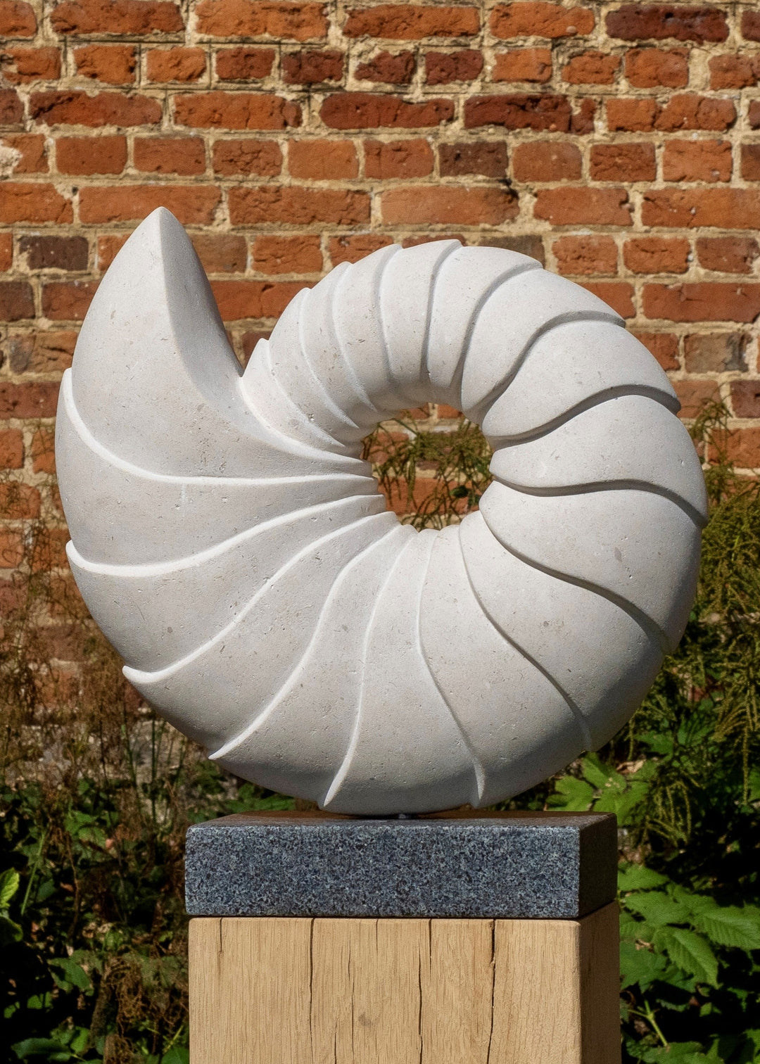 Nautilus by Nicola Axe — elegant spiral Portland stone sculpture echoing a seashell’s natural form, smooth pale surface with flowing ridges, mounted on a granite and oak plinth with a discreet metal plate.