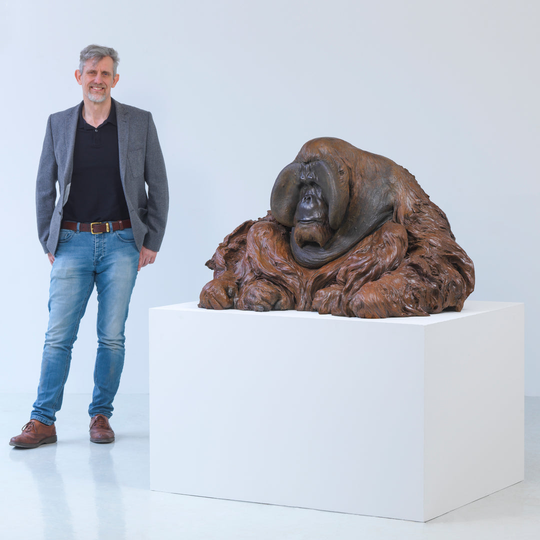 A life-size bronze portrait of a Sumatran orangutan, modelled with powerful realism and warm patinated tones, capturing the animal’s strength, intelligence and contemplative presence with remarkable sculptural depth.