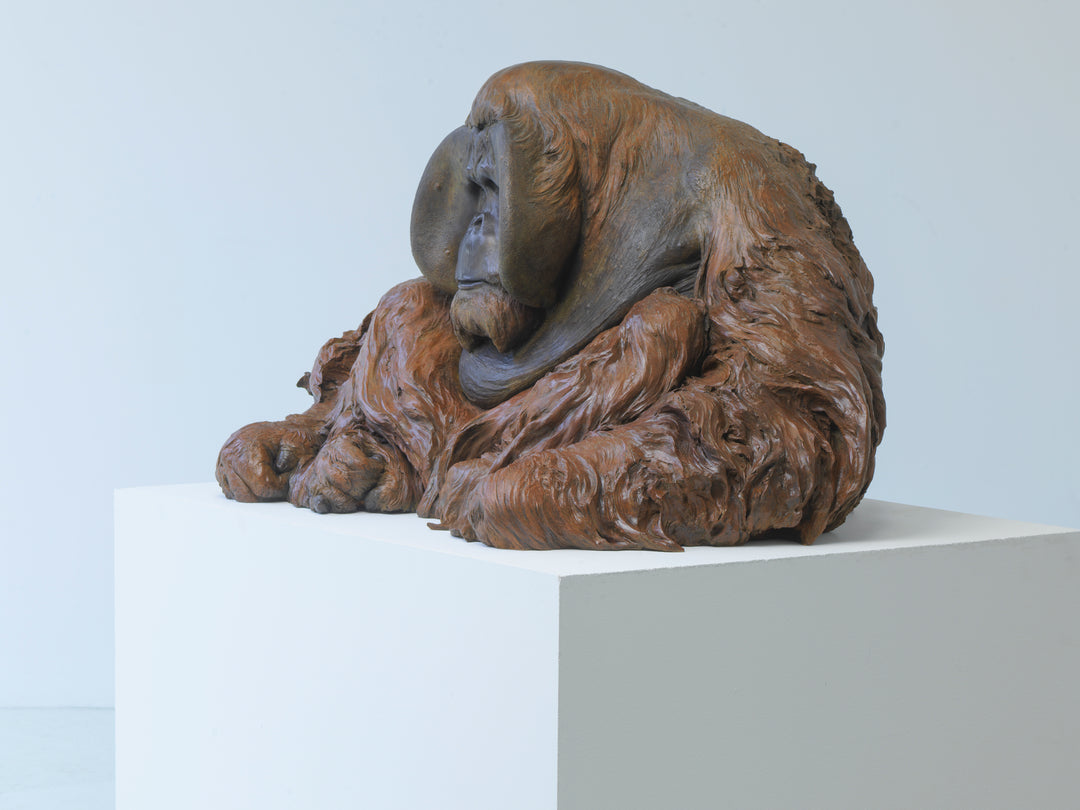A life-size bronze portrait of a Sumatran orangutan, modelled with powerful realism and warm patinated tones, capturing the animal’s strength, intelligence and contemplative presence with remarkable sculptural depth.