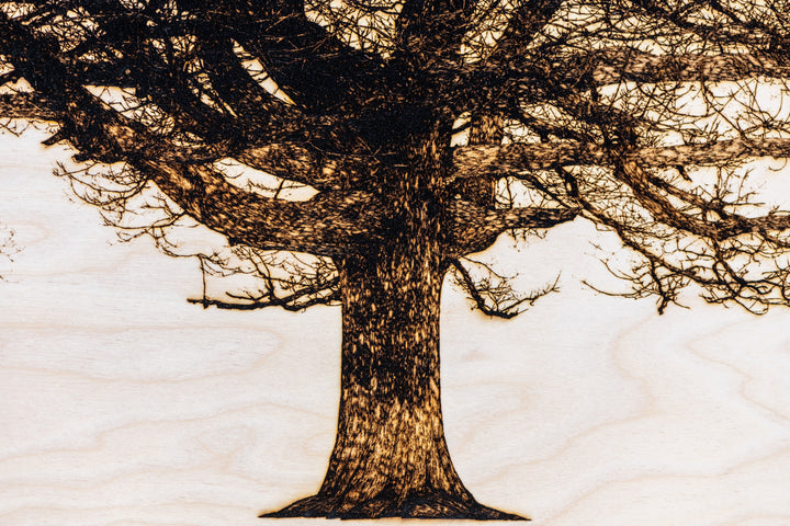 ‘Oak in Richmond Park’ by Thomas Perceval, a limited-edition botanical artwork depicting a magnificent mature oak tree near Isabella Plantation in Richmond Park, London. Intricately etched and burnt into a natural birch wood panel, the artwork captures the tree’s sturdy central trunk, sweeping horizontal branches and an extraordinary network of delicate, leafless twigs in rich dark brown and black against a pale cream wood grain. Presented in a natural lime wood surround frame, this large-scale landscape ar