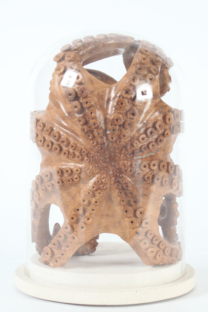 Hand-carved wooden octopus sculpture by Bill Prickett, carved from English oak burr and enclosed within a clear glass dome, its detailed tentacles pressed against the curved surface and mounted on a Portland stone base.