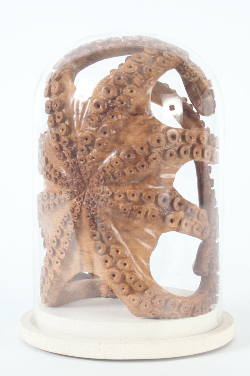 Hand-carved wooden octopus sculpture by Bill Prickett, carved from English oak burr and enclosed within a clear glass dome, its detailed tentacles pressed against the curved surface and mounted on a Portland stone base.