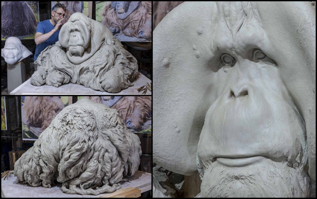 A life-size bronze portrait of a Sumatran orangutan, modelled with powerful realism and warm patinated tones, capturing the animal’s strength, intelligence and contemplative presence with remarkable sculptural depth.