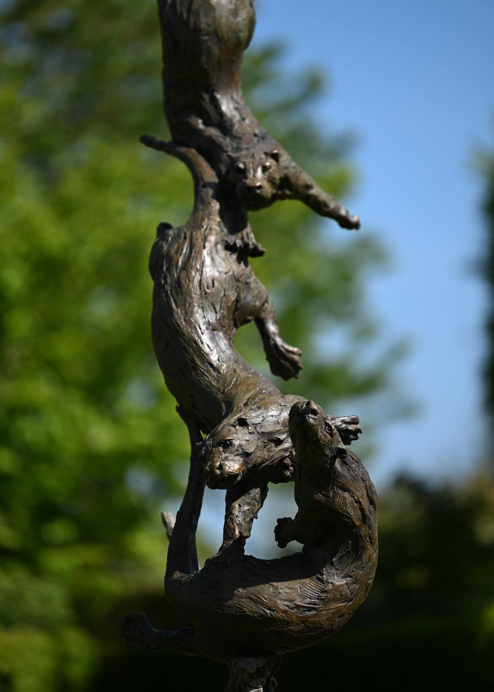 ‘Otters Playing Underwater’ by Hamish Mackie, a life-size limited-edition bronze wildlife sculpture depicting a mother otter and her playful cubs twisting, diving and swimming around a sculpted underwater tree root. The dynamic vertical composition features expressive animal movements, detailed fur textures and a weathered bronze finish in rich brown and earthy tones, capturing the playful energy and natural behaviour of otters beneath the water.