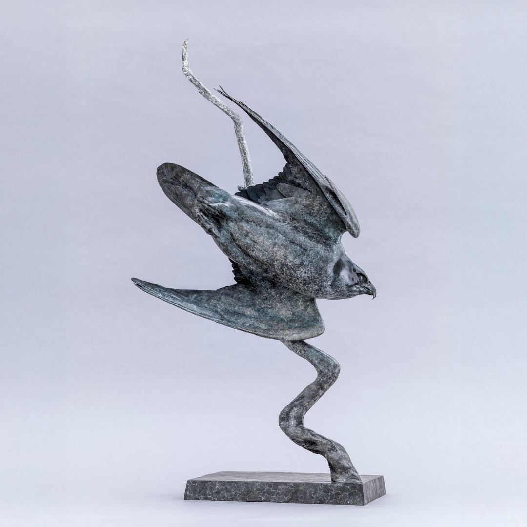 Nick Bibby bronze sculpture of a life-size peregrine falcon captured in a dramatic diving stoop, its swept wings and slate-grey patina emphasising speed, precision and sculptural elegance in a striking, aerodynamic form.