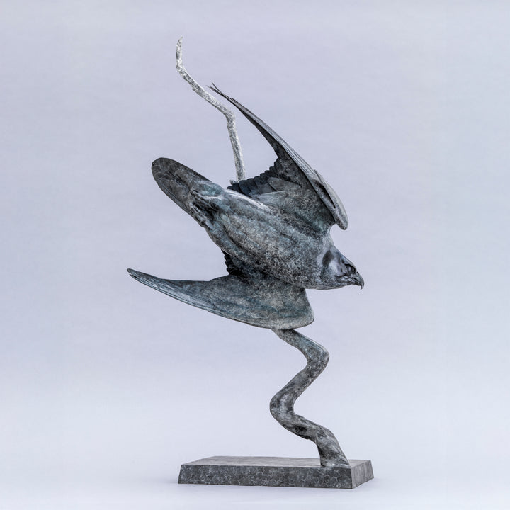 Nick Bibby bronze sculpture of a life-size peregrine falcon captured in a dramatic diving stoop, its swept wings and slate-grey patina emphasising speed, precision and sculptural elegance in a striking, aerodynamic form.
