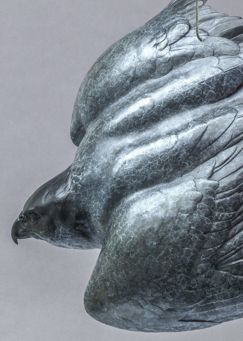 Nick Bibby PEREGRINE II – Flying Free, life size bronze sculpture of a peregrine falcon in flight, suspended by fine stainless steel wire, showing detailed wings and aerodynamic form in dark patinated bronze.