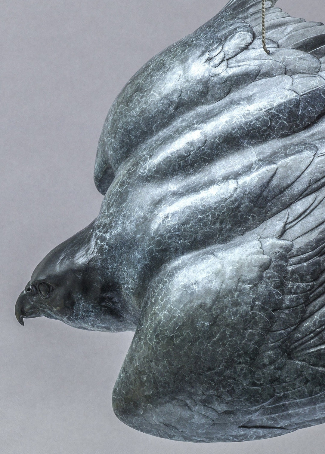 Nick Bibby PEREGRINE II – Flying Free, life size bronze sculpture of a peregrine falcon in flight, suspended by fine stainless steel wire, showing detailed wings and aerodynamic form in dark patinated bronze.