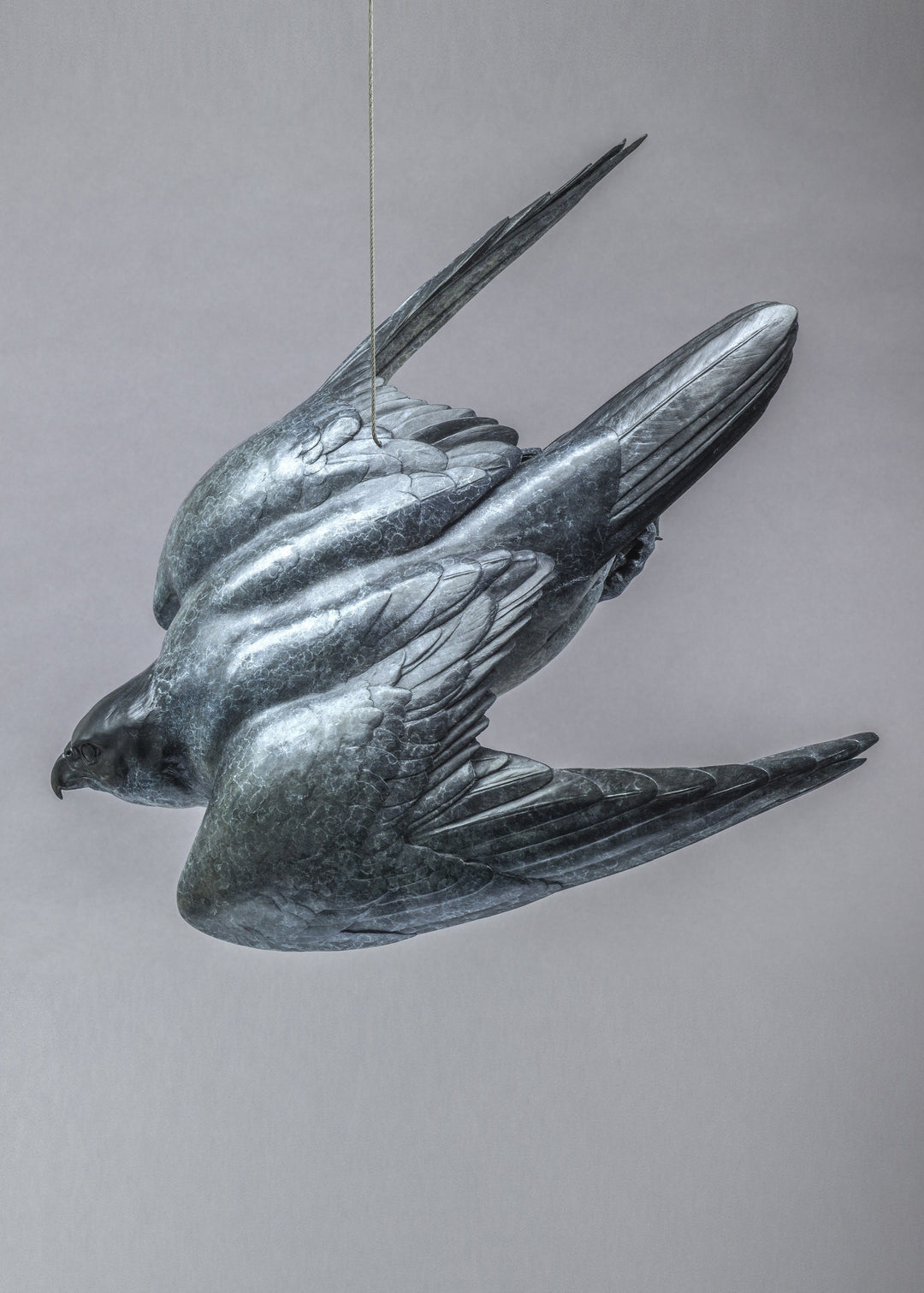 Nick Bibby PEREGRINE II – Flying Free, life size bronze sculpture of a peregrine falcon in flight, suspended by fine stainless steel wire, showing detailed wings and aerodynamic form in dark patinated bronze.