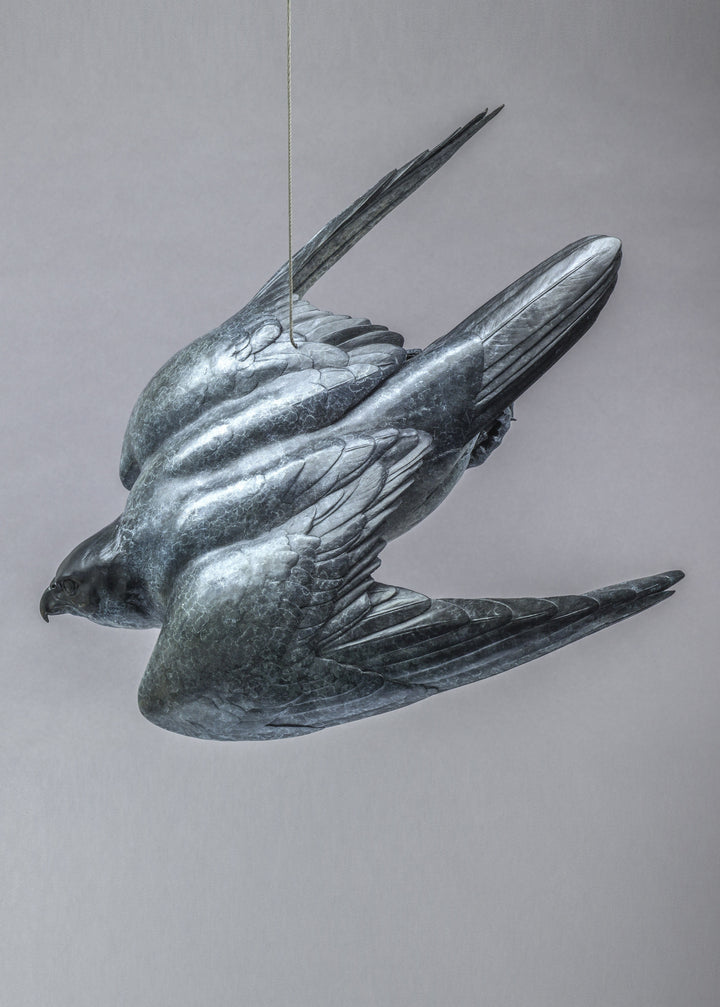 Nick Bibby PEREGRINE II – Flying Free, life size bronze sculpture of a peregrine falcon in flight, suspended by fine stainless steel wire, showing detailed wings and aerodynamic form in dark patinated bronze.