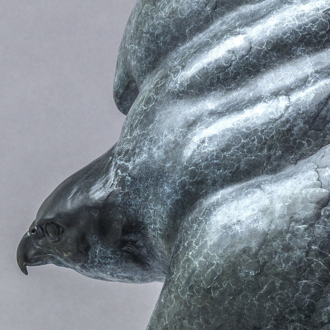 Nick Bibby PEREGRINE II – Flying Free, life size bronze sculpture of a peregrine falcon in flight, suspended by fine stainless steel wire, showing detailed wings and aerodynamic form in dark patinated bronze.