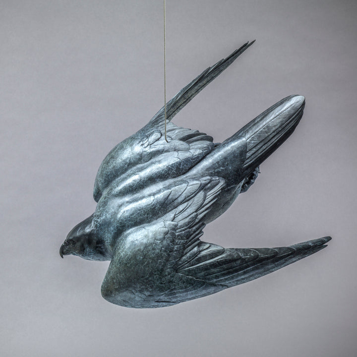 Nick Bibby PEREGRINE II – Flying Free, life size bronze sculpture of a peregrine falcon in flight, suspended by fine stainless steel wire, showing detailed wings and aerodynamic form in dark patinated bronze.