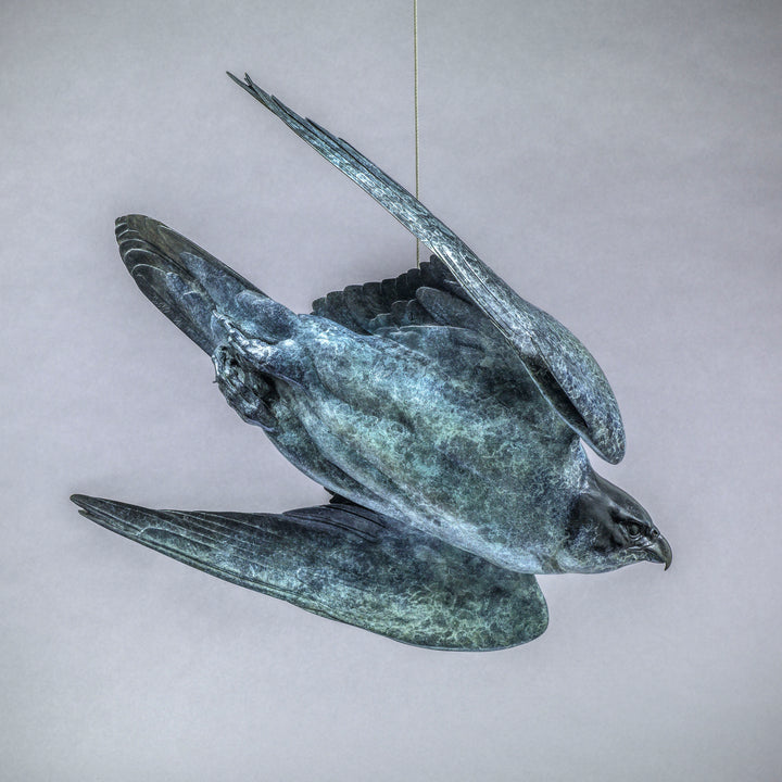 Nick Bibby PEREGRINE II – Flying Free, life size bronze sculpture of a peregrine falcon in flight, suspended by fine stainless steel wire, showing detailed wings and aerodynamic form in dark patinated bronze.