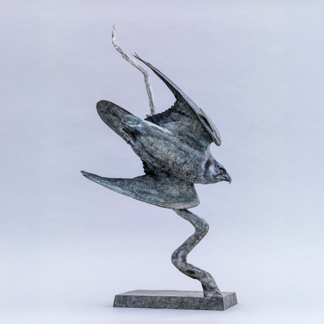 Nick Bibby bronze sculpture of a life-size peregrine falcon captured in a dramatic diving stoop, its swept wings and slate-grey patina emphasising speed, precision and sculptural elegance in a striking, aerodynamic form.