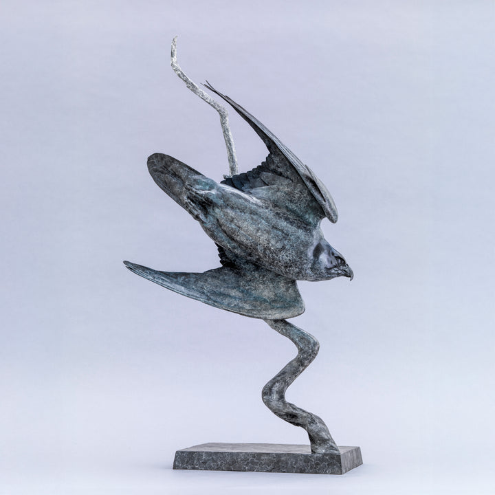 Nick Bibby bronze sculpture of a life-size peregrine falcon captured in a dramatic diving stoop, its swept wings and slate-grey patina emphasising speed, precision and sculptural elegance in a striking, aerodynamic form.