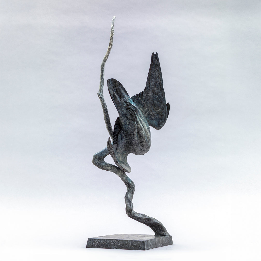 Nick Bibby bronze sculpture of a life-size peregrine falcon captured in a dramatic diving stoop, its swept wings and slate-grey patina emphasising speed, precision and sculptural elegance in a striking, aerodynamic form.