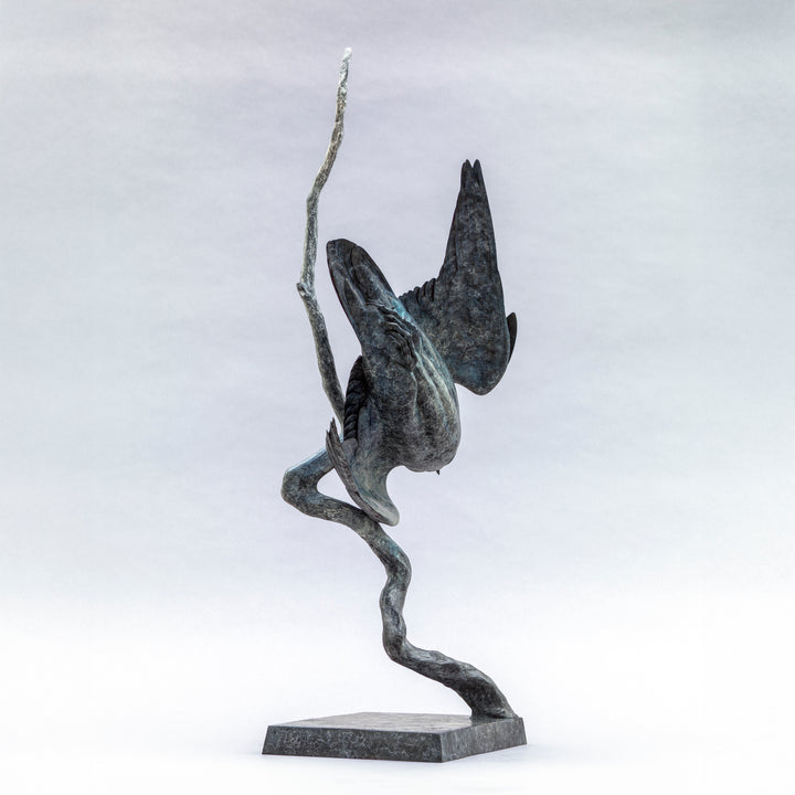 Nick Bibby bronze sculpture of a life-size peregrine falcon captured in a dramatic diving stoop, its swept wings and slate-grey patina emphasising speed, precision and sculptural elegance in a striking, aerodynamic form.