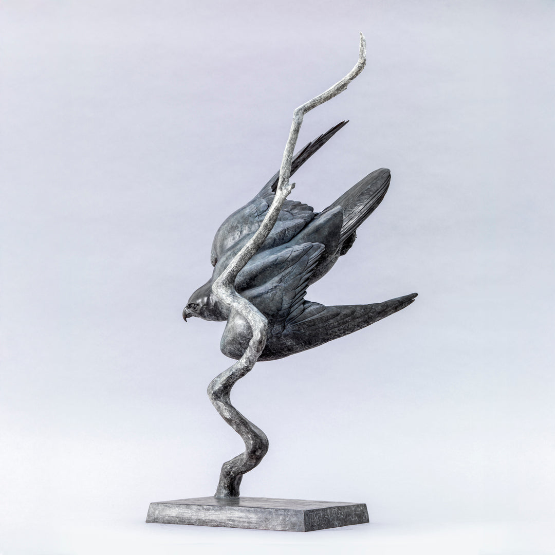 Nick Bibby bronze sculpture of a life-size peregrine falcon captured in a dramatic diving stoop, its swept wings and slate-grey patina emphasising speed, precision and sculptural elegance in a striking, aerodynamic form.