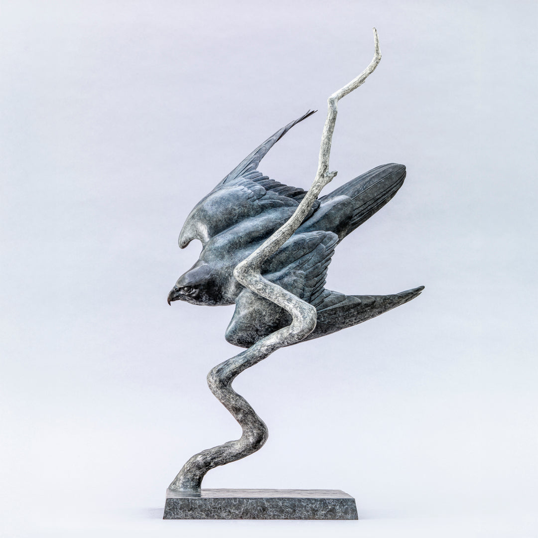 Nick Bibby bronze sculpture of a life-size peregrine falcon captured in a dramatic diving stoop, its swept wings and slate-grey patina emphasising speed, precision and sculptural elegance in a striking, aerodynamic form.