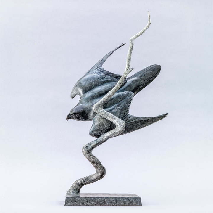 Nick Bibby bronze sculpture of a life-size peregrine falcon captured in a dramatic diving stoop, its swept wings and slate-grey patina emphasising speed, precision and sculptural elegance in a striking, aerodynamic form.