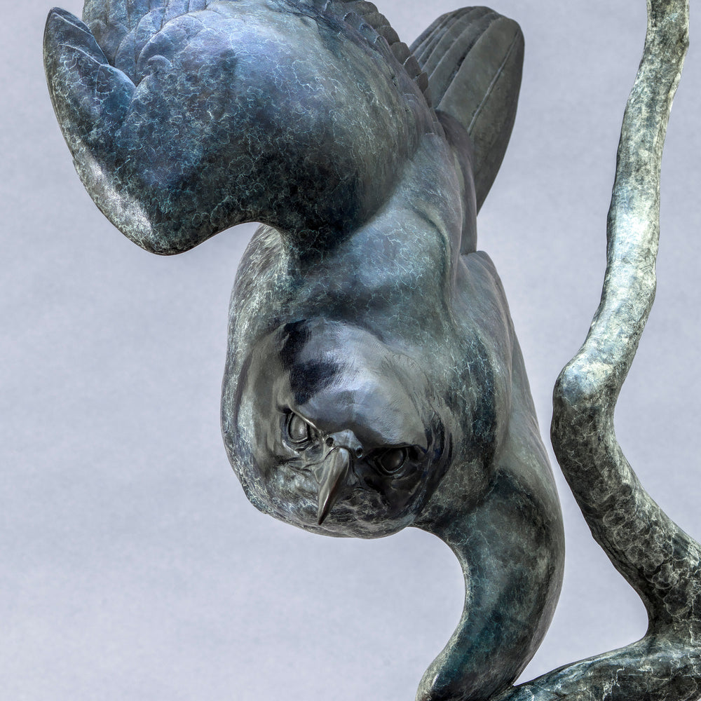 Nick Bibby bronze sculpture of a life-size peregrine falcon captured in a dramatic diving stoop, its swept wings and slate-grey patina emphasising speed, precision and sculptural elegance in a striking, aerodynamic form.