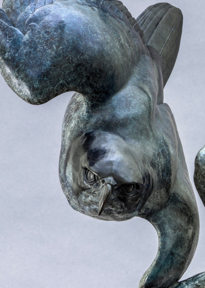 Nick Bibby bronze sculpture of a life-size peregrine falcon captured in a dramatic diving stoop, its swept wings and slate-grey patina emphasising speed, precision and sculptural elegance in a striking, aerodynamic form.