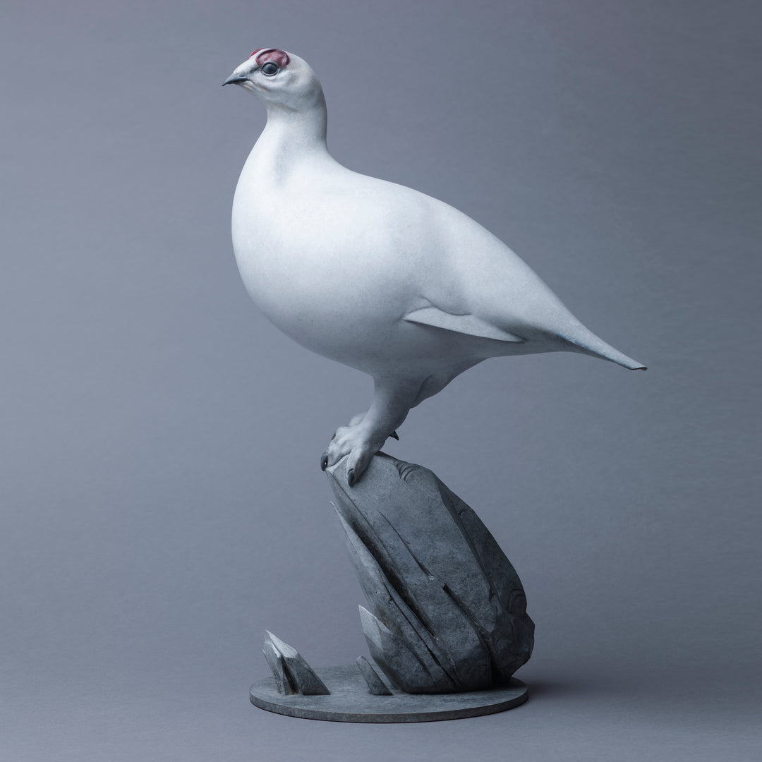 A finely sculpted Nick Bibby bronze ptarmigan standing tall on an angular rocky base, with a smooth winter-white patina and soft grey tonality, capturing the bird’s alert posture and clean, rounded form against a neutral backdrop.