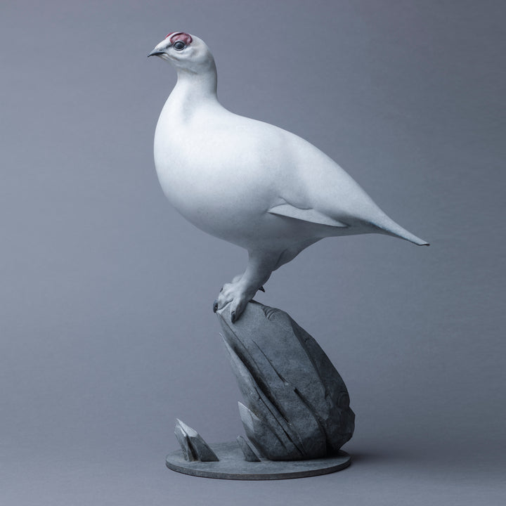 A finely sculpted Nick Bibby bronze ptarmigan standing tall on an angular rocky base, with a smooth winter-white patina and soft grey tonality, capturing the bird’s alert posture and clean, rounded form against a neutral backdrop.