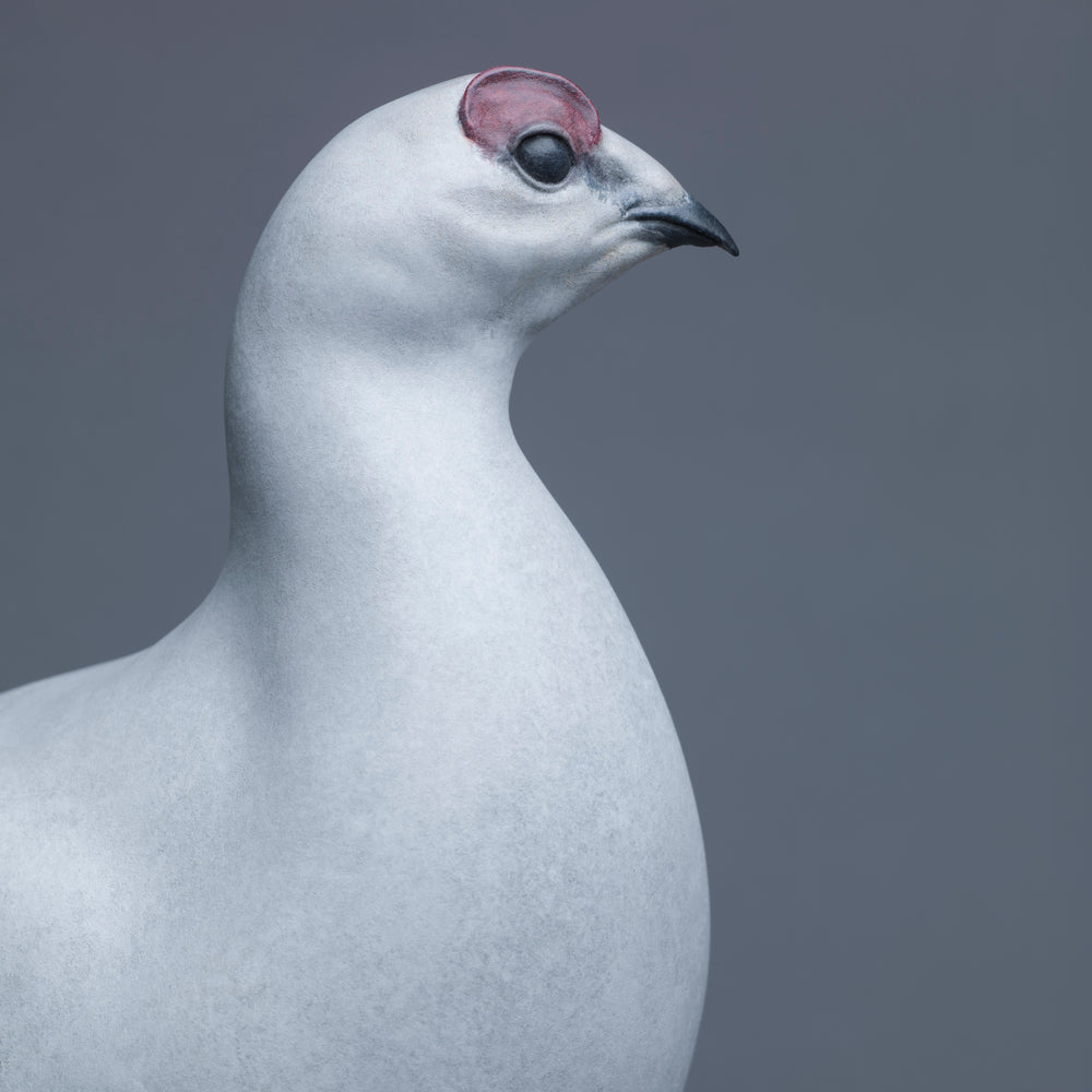 A finely sculpted Nick Bibby bronze ptarmigan standing tall on an angular rocky base, with a smooth winter-white patina and soft grey tonality, capturing the bird’s alert posture and clean, rounded form against a neutral backdrop.