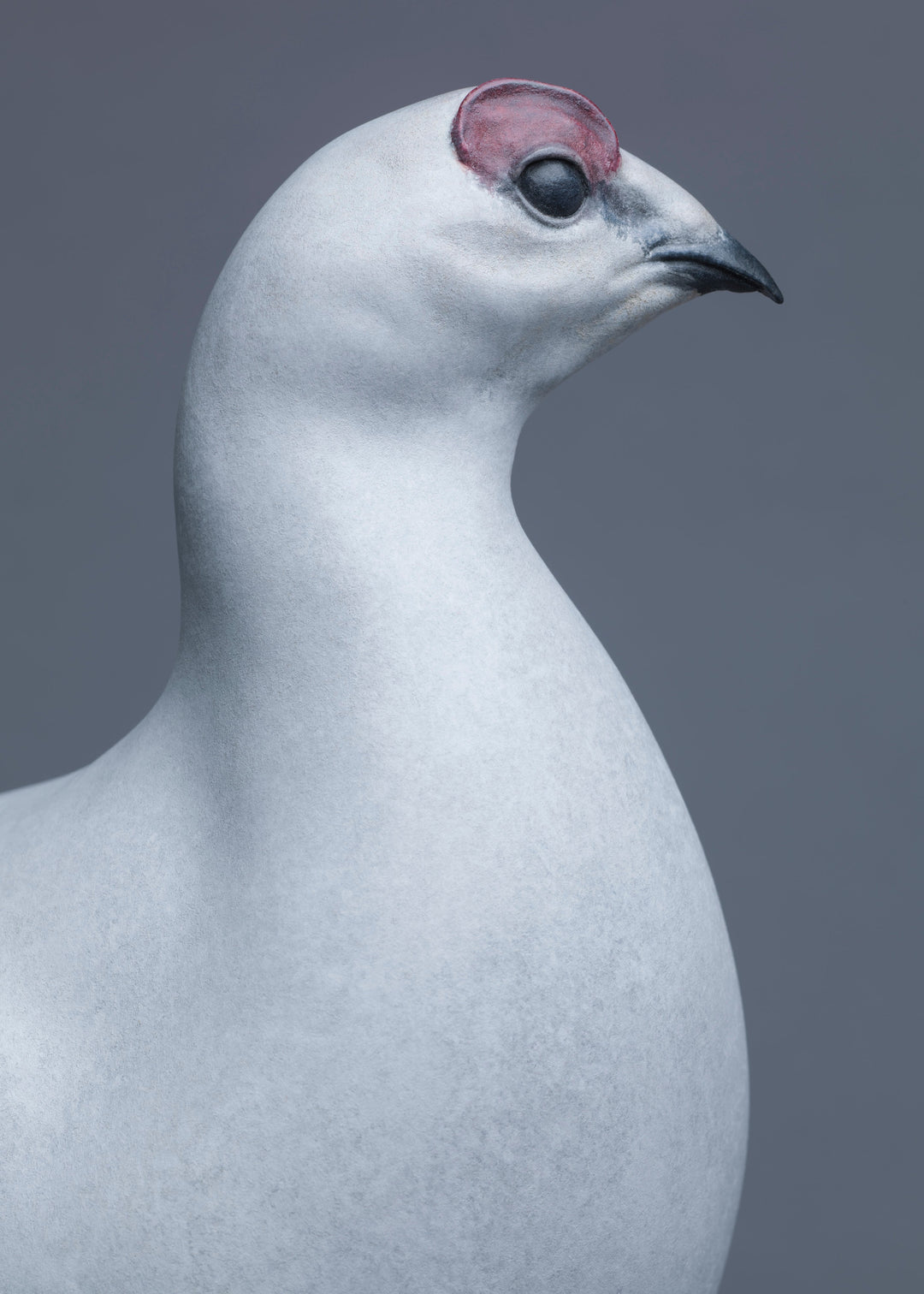A finely sculpted Nick Bibby bronze ptarmigan standing tall on an angular rocky base, with a smooth winter-white patina and soft grey tonality, capturing the bird’s alert posture and clean, rounded form against a neutral backdrop.