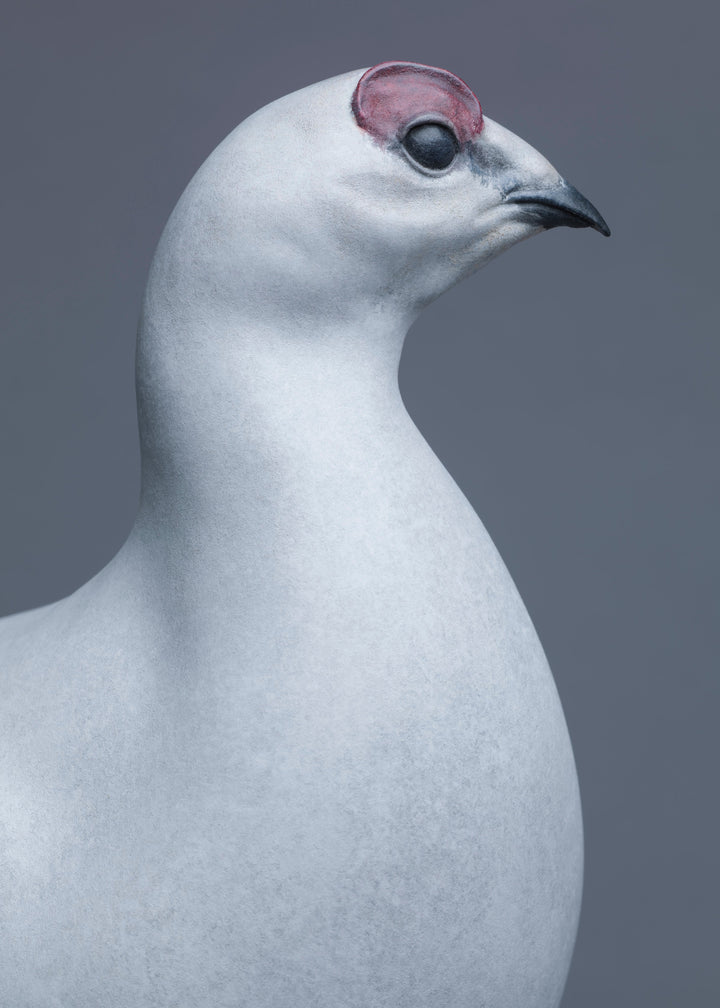 A finely sculpted Nick Bibby bronze ptarmigan standing tall on an angular rocky base, with a smooth winter-white patina and soft grey tonality, capturing the bird’s alert posture and clean, rounded form against a neutral backdrop.