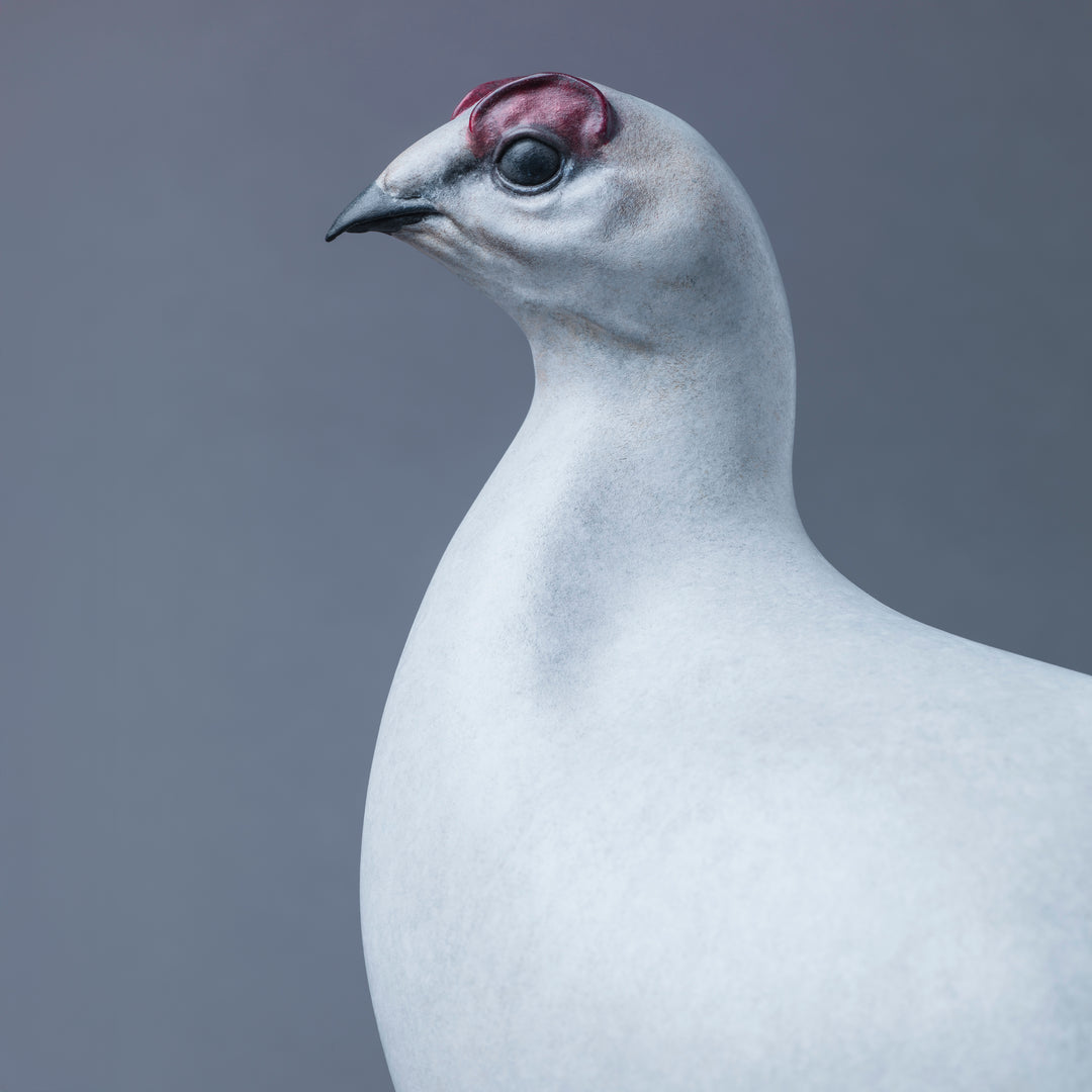 A finely sculpted Nick Bibby bronze ptarmigan standing tall on an angular rocky base, with a smooth winter-white patina and soft grey tonality, capturing the bird’s alert posture and clean, rounded form against a neutral backdrop.