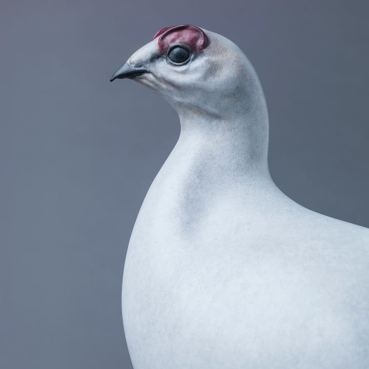 A finely sculpted Nick Bibby bronze ptarmigan standing tall on an angular rocky base, with a smooth winter-white patina and soft grey tonality, capturing the bird’s alert posture and clean, rounded form against a neutral backdrop.